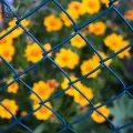 Chain Link Fences